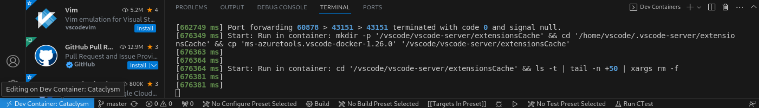 Image showing the container is running in vscode